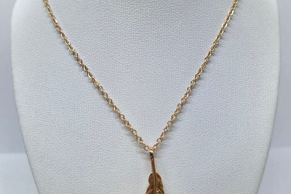 Collar Pluma Brillante
